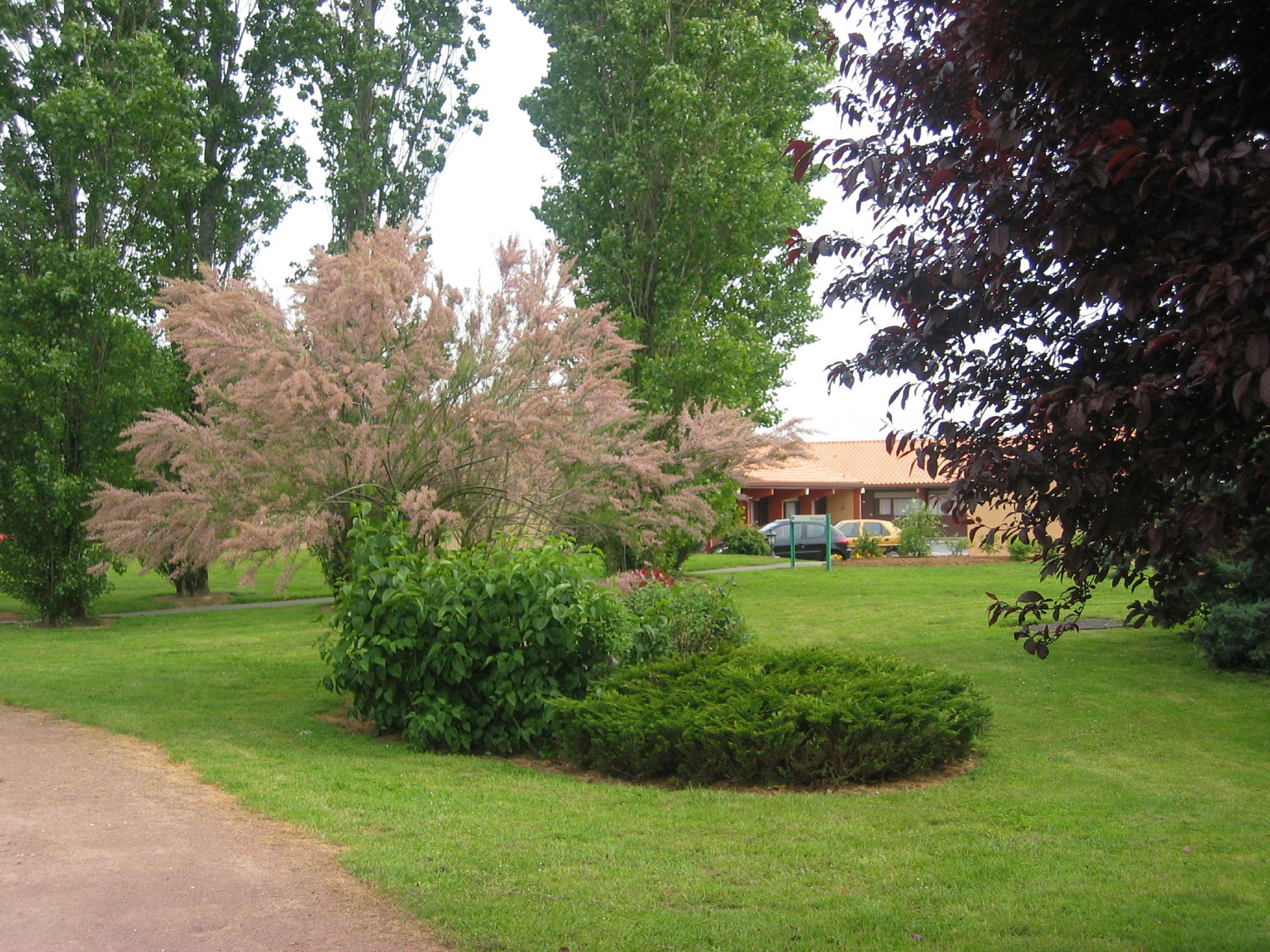 Kyriad Niort - La Creche Exteriör bild